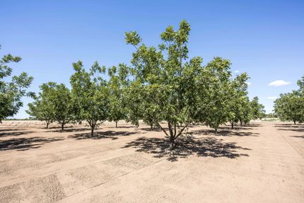 Farm and Ranch for sale in Dona Ana County, New Mexico