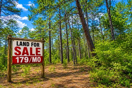 Undeveloped Land for sale in Putnam County, Florida
