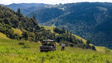 Land for sale in Mendocino County, California