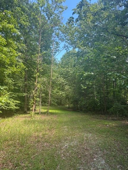 Land for sale in Grundy County, Tennessee