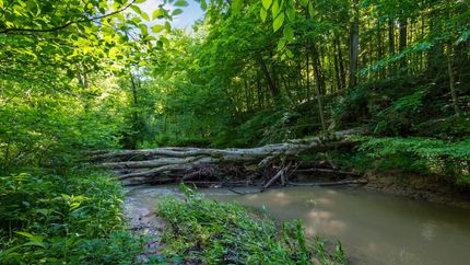 Farm and Ranch for sale in Perry County, Ohio