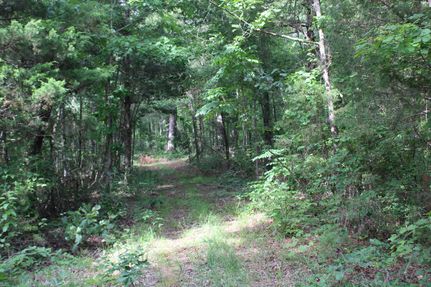 Recreational Property for sale in Benton County, Mississippi