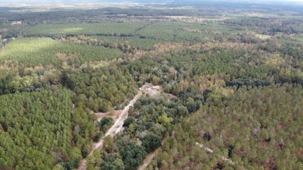 Timberland Property for sale in Jenkins County, Georgia