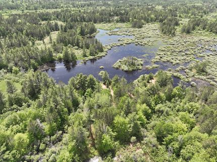 Land for sale in Schoolcraft County, Michigan