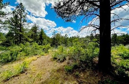 Farm and Ranch for sale in Archuleta County, Colorado