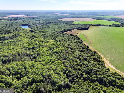 Undeveloped Land for sale in Randolph County, Georgia