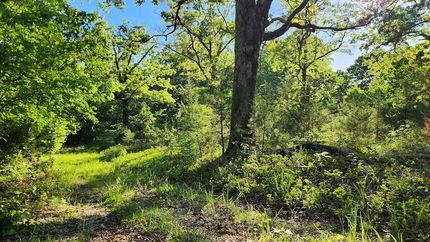 Timberland Property for sale in Stone County, Missouri