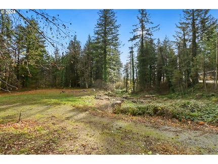 Farm and Ranch for sale in Skamania County, Washington