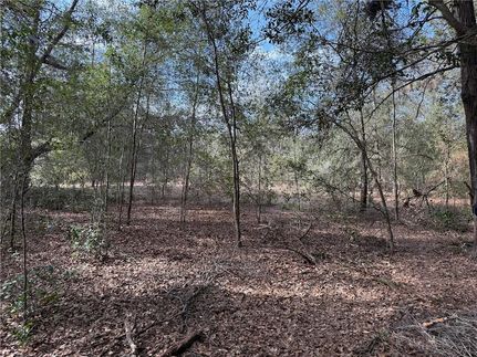 Farm and Ranch for sale in Marion County, Florida