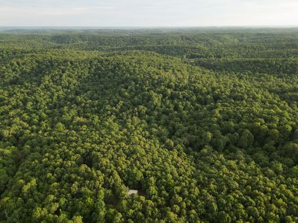 Timberland Property for sale in Sharp County, Arkansas
