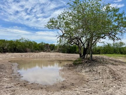 Land for sale in Duval County, Texas