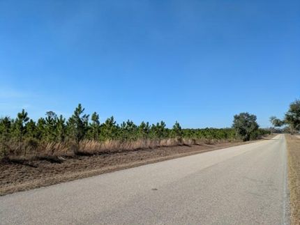 Farm and Ranch for sale in Lafayette County, Florida