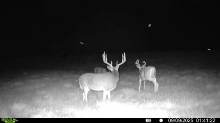 Farm and Ranch for sale in Harper County, Kansas