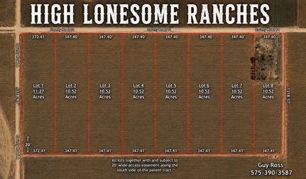 Land for sale in Lynn County, Texas