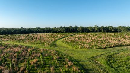 Land for sale in Screven County, Georgia