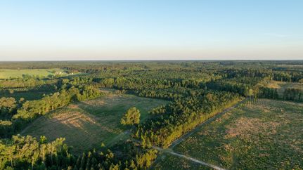 Farm and Ranch for sale in Screven County, Georgia