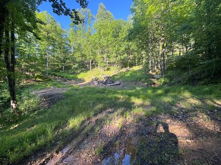 Land for sale in Webster County, West Virginia