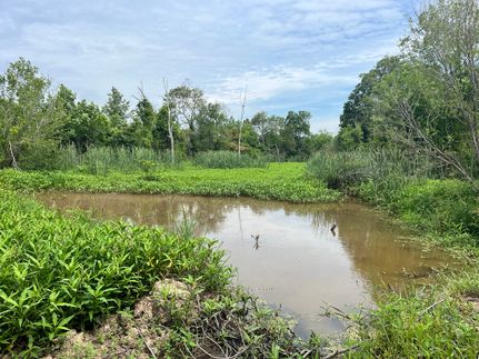 Commercial Property for sale in Chicot County, Arkansas