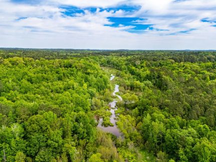 Undeveloped Land for sale in Upshur County, Texas