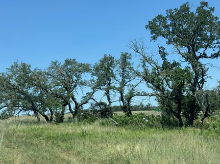 Land for sale in Mills County, Texas