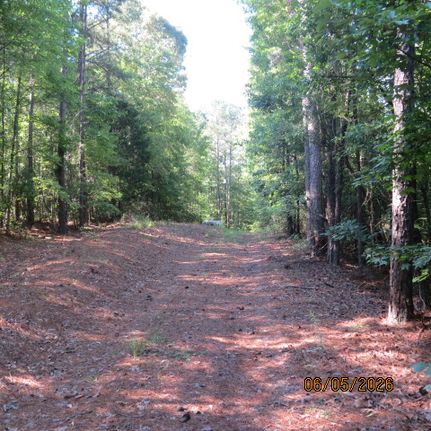 Timberland Property for sale in Coosa County, Alabama