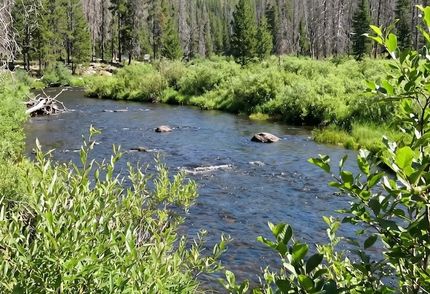 Hunting Property for sale in Albany County, Wyoming