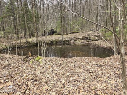 Land for sale in Bennington County, Vermont