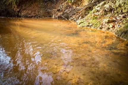 Land for sale in Rusk County, Texas