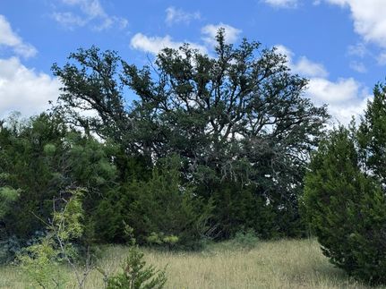 Timberland Property for sale in Mills County, Texas