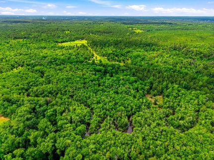 Recreational Property for sale in Taylor County, Georgia