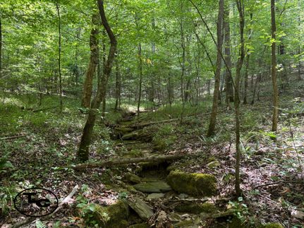 Farm and Ranch for sale in Walker County, Alabama