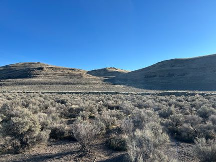 Farm and Ranch for sale in Washoe County, Nevada