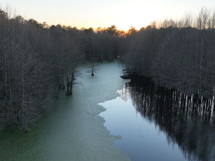 Timberland Property for sale in Lawrence County, Mississippi