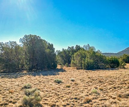 Recreational Property in Apache County, Arizona
