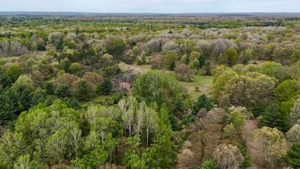 Land for sale in Lake County, Michigan