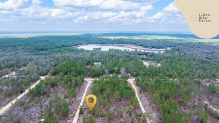 Timberland Property for sale in Putnam County, Florida