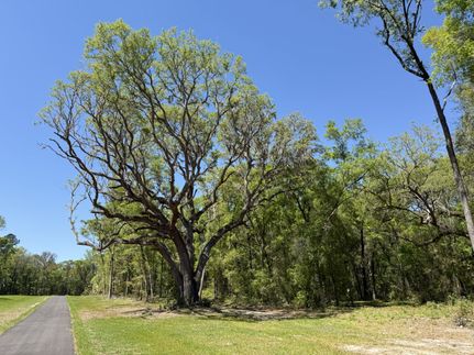 Undeveloped Land for sale in Marion County, Florida