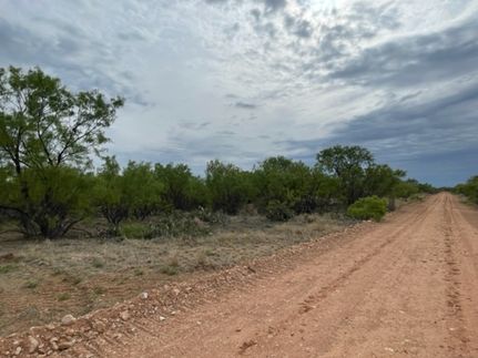 Farm and Ranch for sale in Coke County, Texas