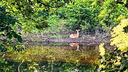 Recreational Property for sale in Pottawatomie County, Oklahoma