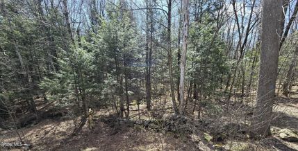 Land for sale in Berkshire County, Massachusetts