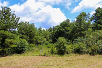 Farm and Ranch for sale in Attala County, Mississippi