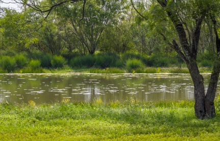 Recreational Property for sale in Zavala County, Texas