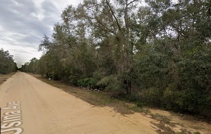 Farm and Ranch for sale in Putnam County, Florida
