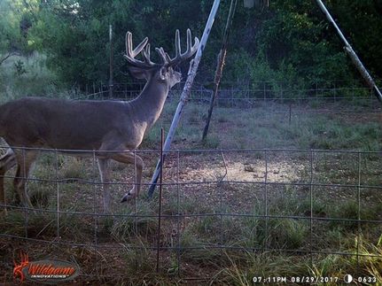 Recreational Property for sale in Young County, Texas