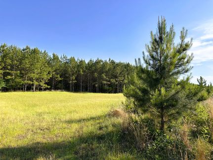 Land for sale in Greenwood County, South Carolina
