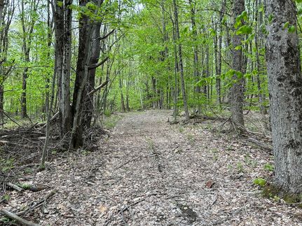 Land for sale in Androscoggin County, Maine