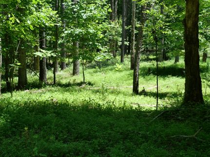 Undeveloped Land for sale in Bledsoe County, Tennessee