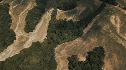 Recreational Property for sale in Tipton County, Tennessee