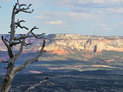 Undeveloped Land for sale in Kane County, Utah