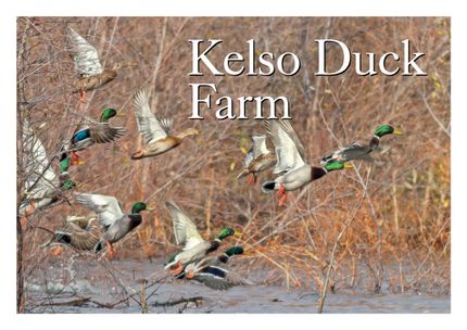 Farm and Ranch for sale in Desha County, Arkansas